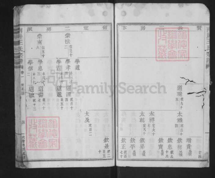 浙江省绍兴新昌县王氏环山堂族谱-南屏王氏宗谱.pdf电子版预览图4