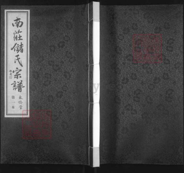 江苏省无锡市宜兴市周铁镇江苏省无锡市宜兴市官林镇储；储氏永绥堂族谱-南臧储氏分支谱.pdf电子版缩略图