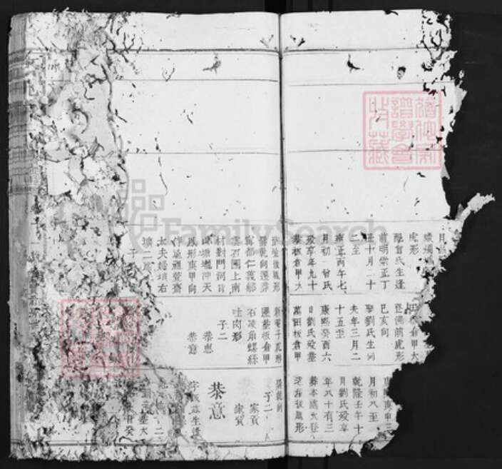 江西省赣州市宋氏族谱-京兆宋氏族谱.pdf电子版预览图4