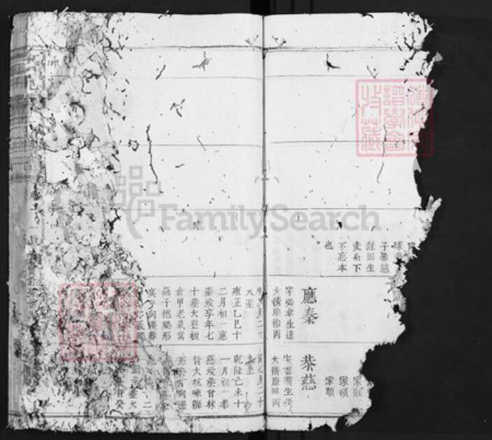 江西省赣州市宋氏族谱-京兆宋氏族谱.pdf电子版预览图5
