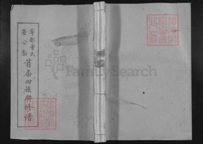 江西省赣州市宁都县曾氏族谱-宁都县曾氏丞公裔首届四族联修总谱.pdf电子版缩略图