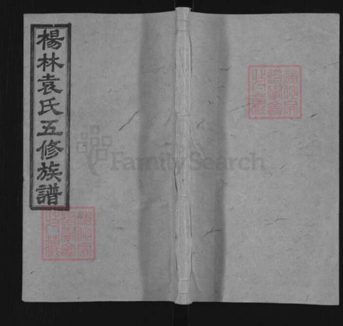 湖南省邵阳市邵东袁氏敦睦堂族谱-杨林袁氏五修族谱.pdf电子版缩略图