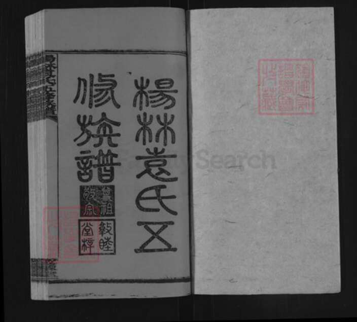 湖南省邵阳市邵东袁氏敦睦堂族谱-杨林袁氏五修族谱.pdf电子版预览图1