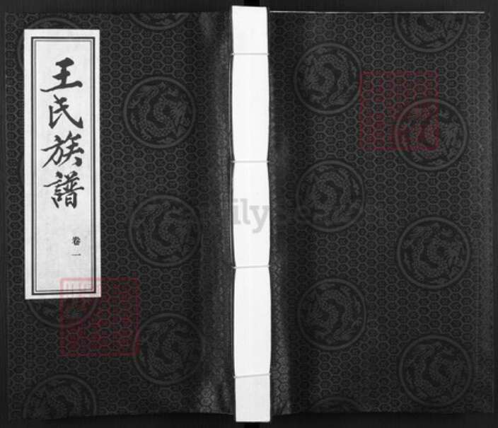 河北省邢台宁晋县凤凰镇王氏族谱-王氏族谱.pdf电子版缩略图