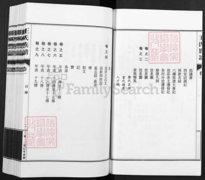 河北省邢台宁晋县凤凰镇王氏族谱-王氏族谱.pdf电子版预览图3