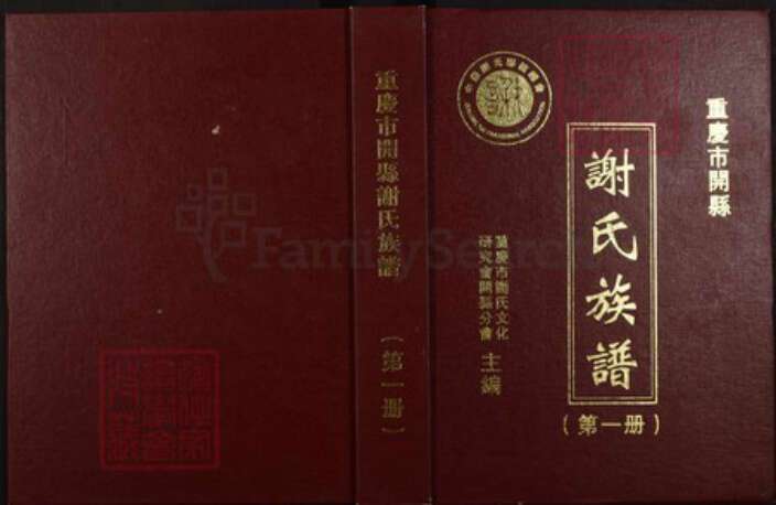 重庆市万州区四川省万州开县谢；谢氏宝树堂族谱-重庆市开县谢氏族谱.pdf电子版缩略图