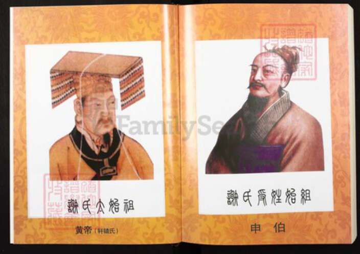 重庆市万州区四川省万州开县谢；谢氏宝树堂族谱-重庆市开县谢氏族谱.pdf电子版预览图3