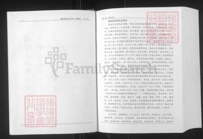 浙江省绍兴诸暨市安华镇何氏肇禋堂族谱-暨阳善溪何氏宗谱.pdf电子版预览图4