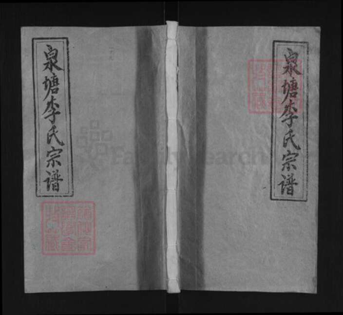 湖南省邵阳市邵东李氏培元堂族谱-邵陵泉塘李氏五修宗谱.pdf电子版缩略图