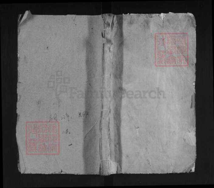 湖北省黄冈市英山县南河镇陈氏德星堂族谱-陈氏宗谱.pdf电子版缩略图