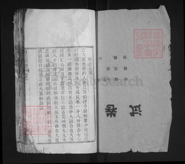 湖北省黄冈市英山县南河镇陈氏德星堂族谱-陈氏宗谱.pdf电子版预览图1