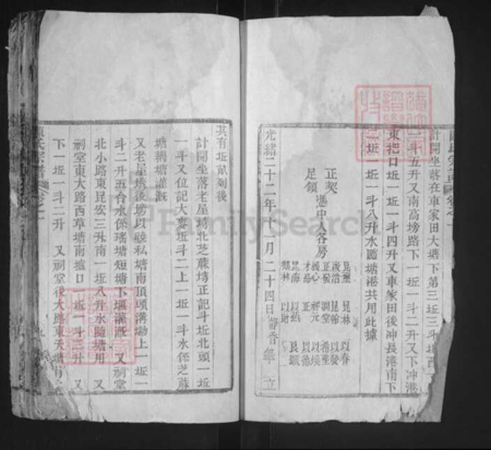 湖北省黄冈市英山县南河镇陈氏德星堂族谱-陈氏宗谱.pdf电子版预览图2