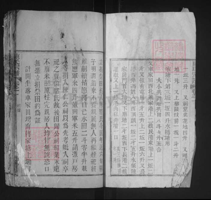 湖北省黄冈市英山县南河镇陈氏德星堂族谱-陈氏宗谱.pdf电子版预览图3