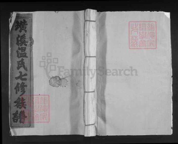 江西省赣州市宁都县田头镇温氏族谱-宁都璜溪温氏祠七修族谱.pdf电子版缩略图