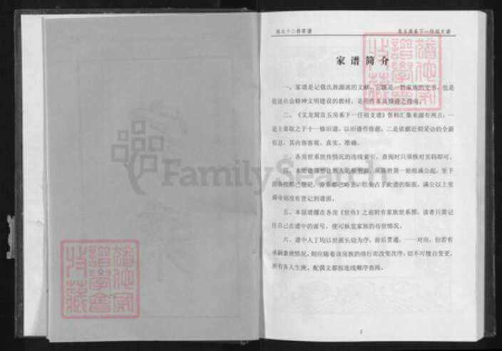 湖北省黄冈市蕲春县陈氏族谱-蕲春庄陈氏宗谱.pdf电子版预览图5