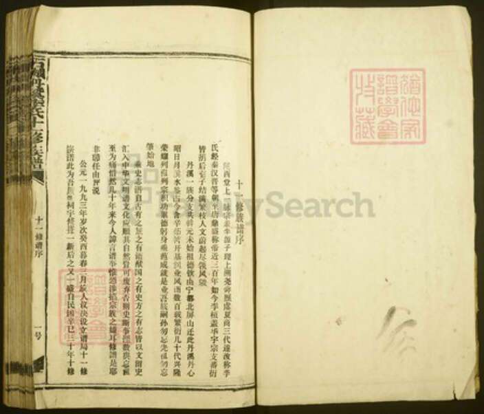 江西省赣州市石城县李氏族谱-石城丹溪李氏十一修族谱.pdf电子版预览图2