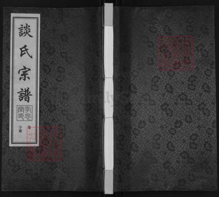江苏省常州市武进县洛阳镇谈氏孝思堂族谱-谈氏宗谱.pdf电子版缩略图