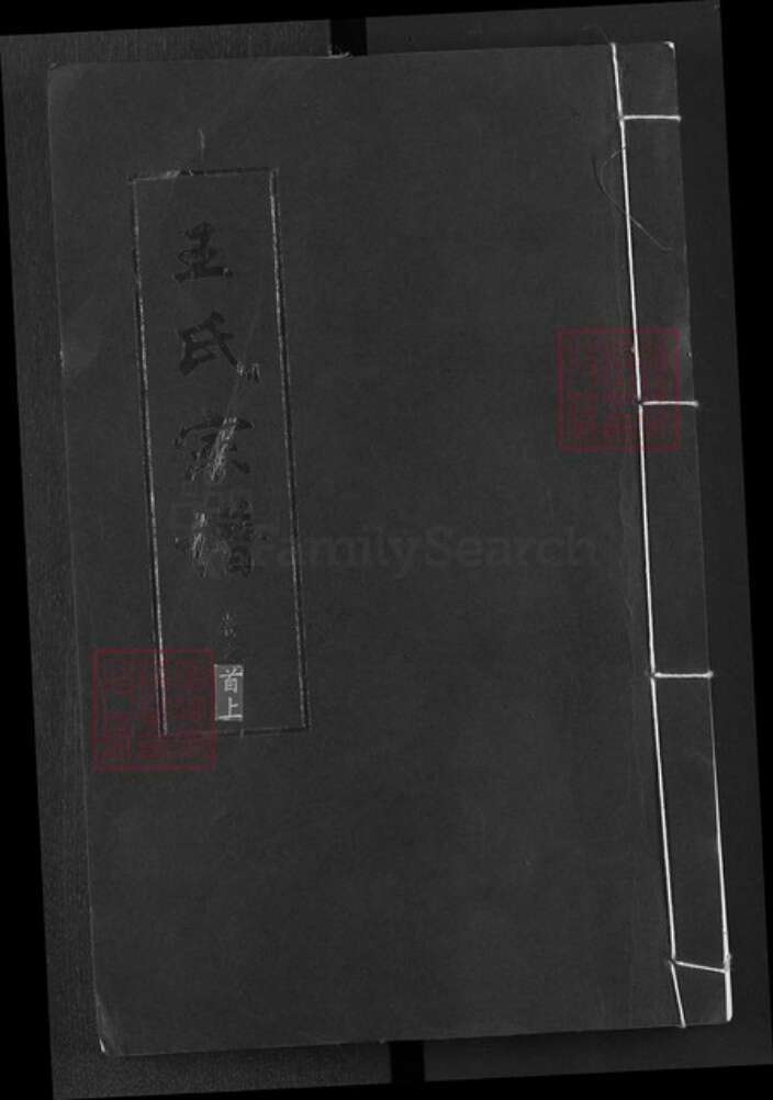 湖北省黄冈市王氏三槐堂族谱-王氏族谱.pdf电子版缩略图