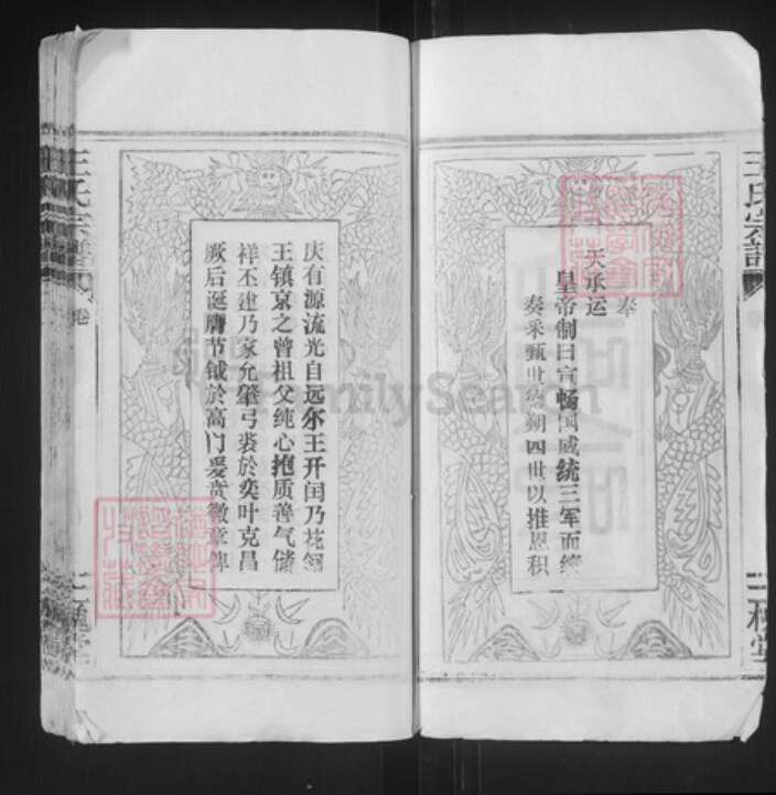湖北省武汉市洪山区王氏三槐堂族谱-王氏宗谱.pdf电子版预览图2