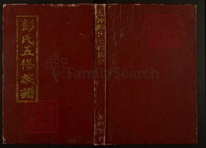 湖南省邵阳市隆回县桃洪彭氏诚敬堂族谱-大冲彭氏五修族谱.pdf电子版缩略图