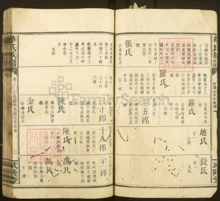 福建省龙岩市连城县姑田镇华氏武陵堂族谱-华氏族谱.pdf电子版预览图2