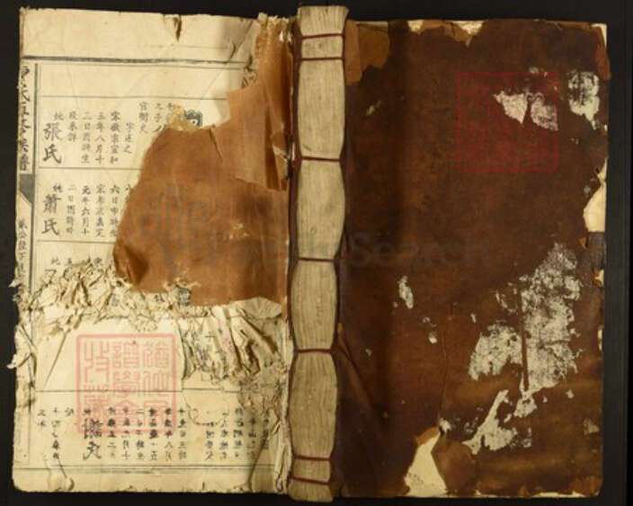 江西省赣州市兴国县江背镇曹氏谯国堂族谱-曹氏五修族谱.pdf电子版缩略图