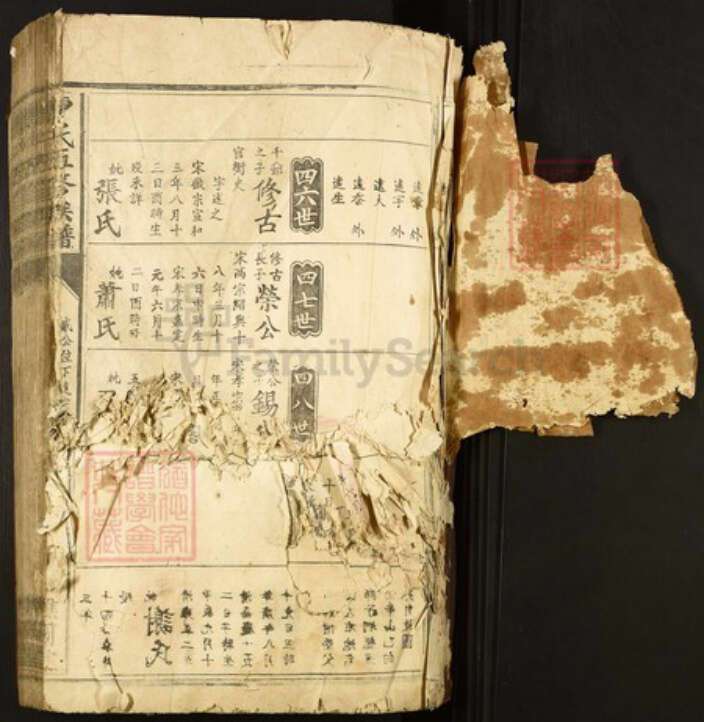 江西省赣州市兴国县江背镇曹氏谯国堂族谱-曹氏五修族谱.pdf电子版预览图1