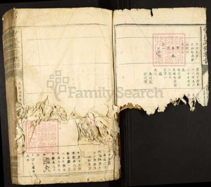 江西省赣州市兴国县江背镇曹氏谯国堂族谱-曹氏五修族谱.pdf电子版预览图2