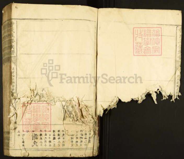 江西省赣州市兴国县江背镇曹氏谯国堂族谱-曹氏五修族谱.pdf电子版预览图5