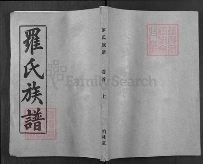 湖北省黄冈市麻城市罗氏柏林堂族谱-罗氏族谱.pdf电子版缩略图