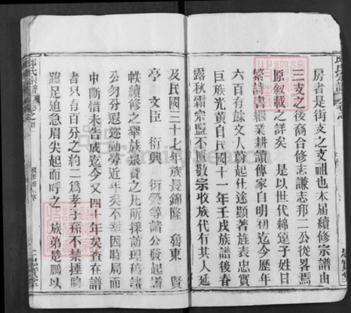 湖北省武汉市新洲区邱氏忠实堂族谱-邱氏宗谱.pdf电子版预览图2