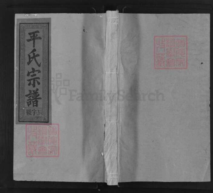 福建省三明市建宁县江西省抚州市南丰县江西省上饶市江西省抚州市南丰县莱溪乡平氏族谱-平氏宗谱.pdf电子版