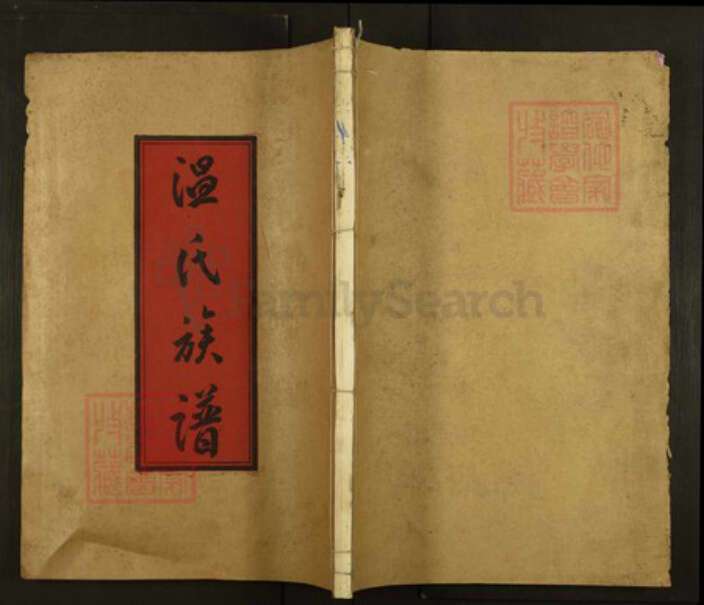 江西省赣州市信丰县温氏太原堂族谱-温氏族谱.pdf电子版缩略图