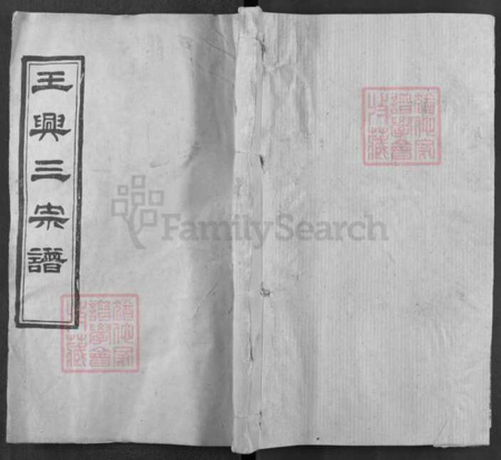 湖北省武汉市新洲区王氏光裕堂族谱-王兴三宗谱.pdf电子版缩略图