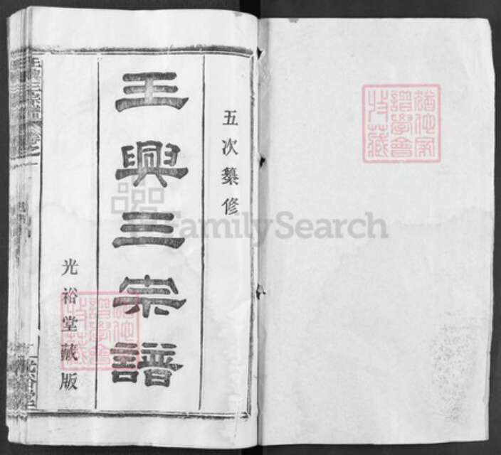 湖北省武汉市新洲区王氏光裕堂族谱-王兴三宗谱.pdf电子版预览图1