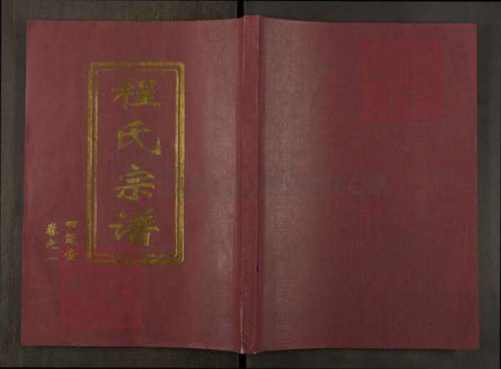 湖北省武汉市新洲区程氏四箴堂族谱-程氏宗谱.pdf电子版缩略图