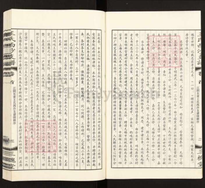 江苏省无锡市王氏三槐堂族谱-东常王氏西沙支谱.pdf电子版预览图4