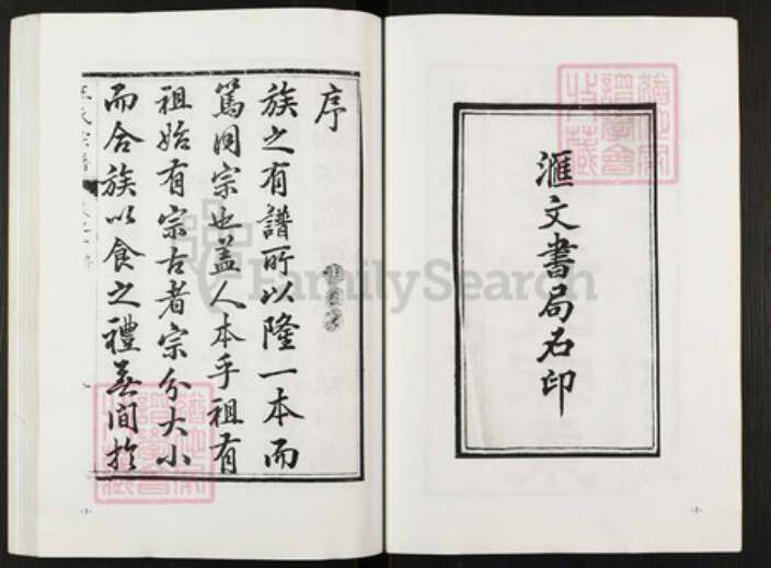 江苏省盐城市阜宁县金沙湖街道王氏族谱-王氏宗谱.pdf电子版预览图2