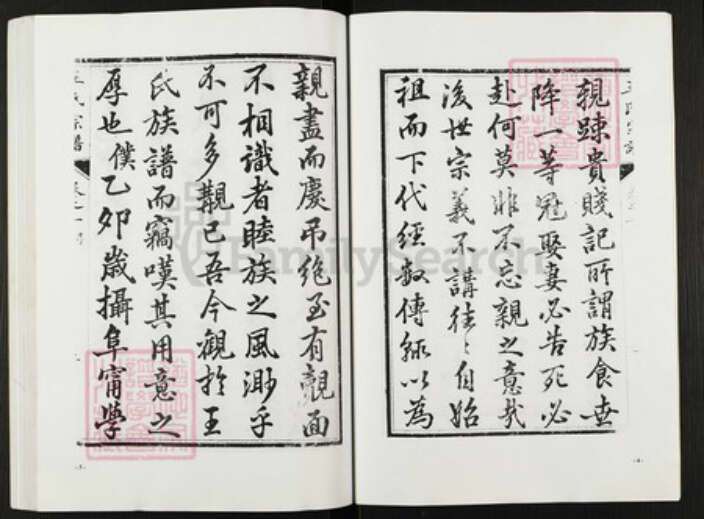 江苏省盐城市阜宁县金沙湖街道王氏族谱-王氏宗谱.pdf电子版预览图3