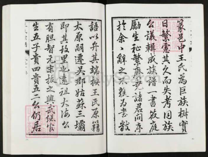 江苏省盐城市阜宁县金沙湖街道王氏族谱-王氏宗谱.pdf电子版预览图4