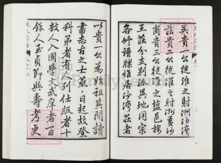 江苏省盐城市阜宁县金沙湖街道王氏族谱-王氏宗谱.pdf电子版预览图5