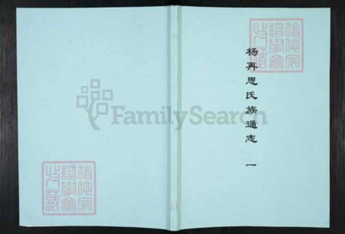 贵州省黔东南苗族侗族自治州凯里市杨氏族谱-杨再思氏族通志.pdf电子版缩略图