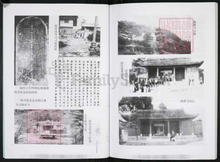 贵州省黔东南苗族侗族自治州凯里市杨氏族谱-杨再思氏族通志.pdf电子版预览图4