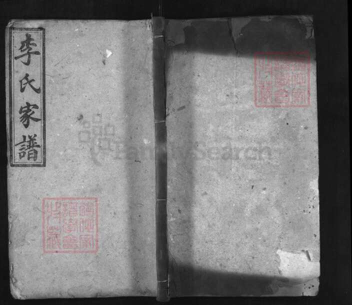 湖南省益阳市李氏族谱-李氏五修支谱 [10卷,首2卷].pdf电子版缩略图