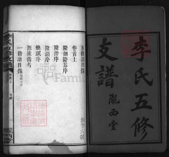 湖南省益阳市李氏族谱-李氏五修支谱 [10卷,首2卷].pdf电子版预览图1