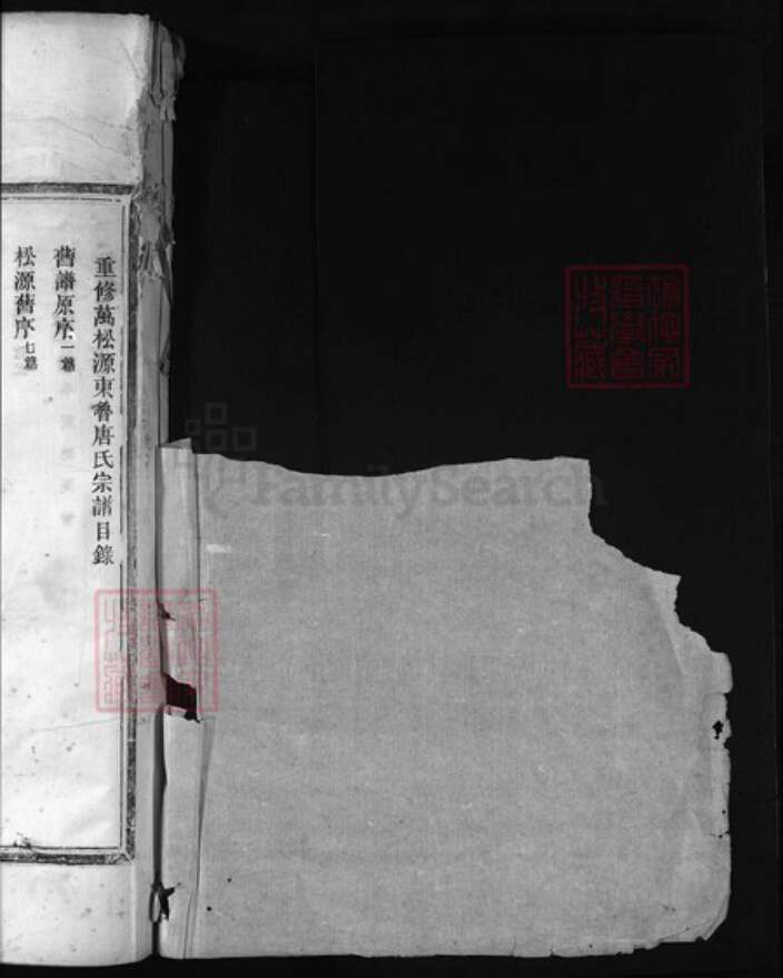 浙江省丽水市唐氏族谱-万松源唐氏宗谱 [5卷,首1卷].pdf电子版预览图1