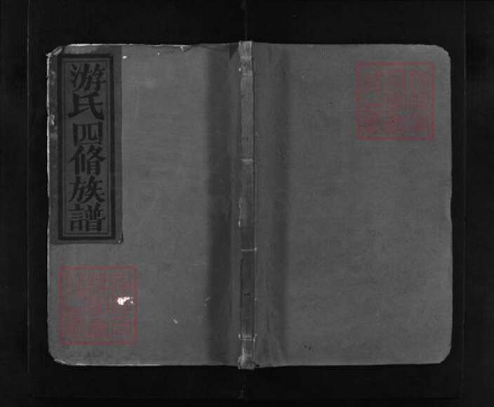 江西省抚州市乐安县游氏族谱-功溪游氏族谱 [不分卷].pdf电子版缩略图