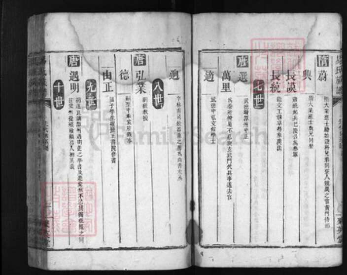 湖南省湘潭市湘乡市湘乡易氏族谱-易氏族谱 [残卷, 不分卷].pdf电子版预览图3