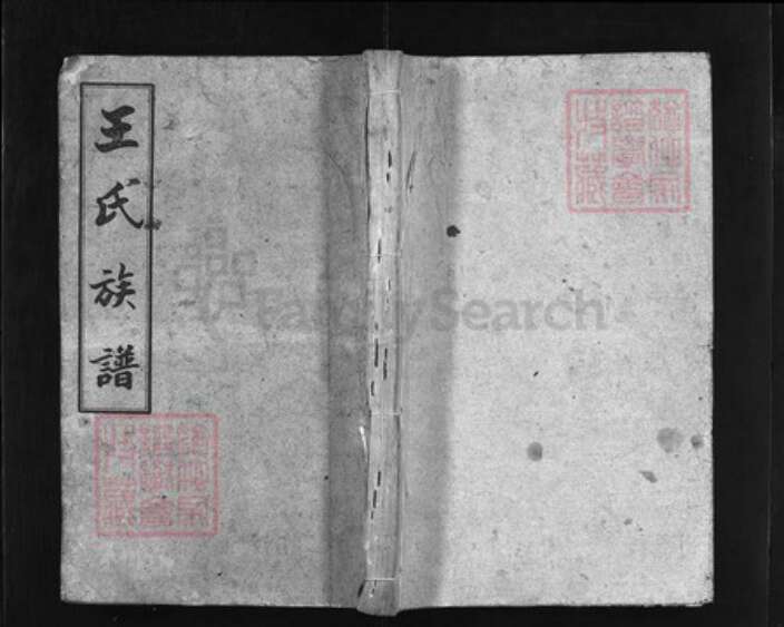 湖南省长沙市浏阳市浏阳王氏族谱-白水王氏族谱[20卷].pdf电子版缩略图