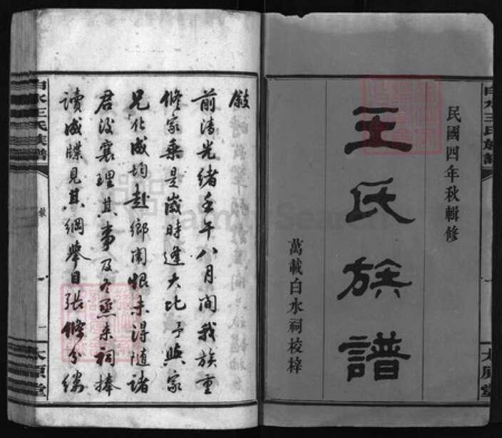 湖南省长沙市浏阳市浏阳王氏族谱-白水王氏族谱[20卷].pdf电子版预览图1